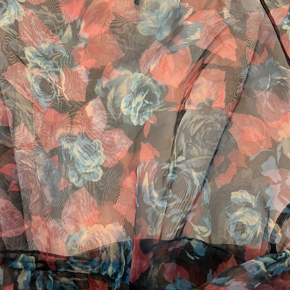 ZARA FLIRAL SHEER DRESS W/BELT - Picture 2 of 10
